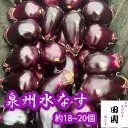 泉州特産 産地直送 Aランク 水ナス 生ナス 約18〜20個 約3.5キロセット 田園 ギフト 配達日時指定不可 ご家庭用 贈答用 送料無料
