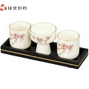 【P5倍!5/10と5/11限定】 仏具セット 仏飯 仏器 仏飯器 ご飯 湯呑 湯飲み 湯のみ 湯呑み 鉄線 梅 仏器 膳 【仏器膳 バウム 黒檀 6.0 湯呑...