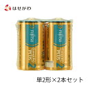 電池 単2 2本 FUJITSU 富士通 電池式仏具 電池線香 電池ローソク 提灯 お供え 【アルカリ乾電池 単2形 2個パック】お仏壇のはせがわ