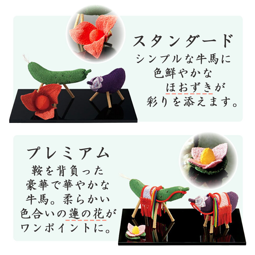 ���� ������ ���� �ʤ� ���夦�� ���߾��� ���ϥ��å� ������ ������ٹ� �� ���� ���� ���� ���� ��ê����ڤ����� ���Ͼ��� �ۤ��������åȡ��ץ�ߥ���ۤ�ʩ�ŤΤϤ�����