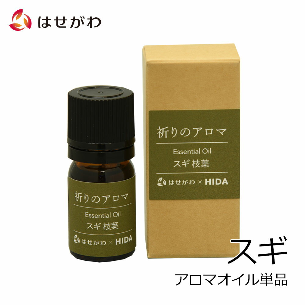 P5+ݥ!11/2311/25       ФȤʤ  £ աHIDA Υ ι...