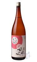 土佐しらぎく たっぷり飲める 純米酒 1800ml 日本酒 仙頭酒造場 高知県