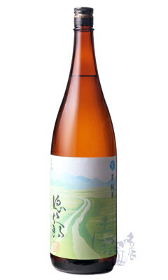 徳次郎 夏純米 1800ml 日本酒 城陽酒造 京都府