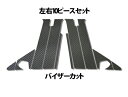 【20%OFFクーポン7/4-11】カーボンシート ハセプロ マジカルカーボン ピラーフルセット バイザーカットタイプ 三菱 ランサーエボリューションX/ギャラ...