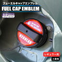 ホログラム フューエルキャップ カバー ガーニッシュ 三菱 レギュラー 給油口 2ピース ハセプロ ポイント消化 HOFER-5
