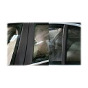 【21%OFFクーポンは27日まで】カーボンシート ハセプロ マジカルアートシート ピラーセット BMW 5シリーズ F10 2010.3〜 MS-PB25