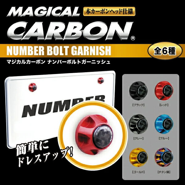 【20％OFFクーポン5/9-16】ナンバーボルトガーニッシュ 2ピース ハセプロ マジカルカーボン 1