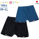 日本製 尿漏れパンツ 男性用 100cc 綿100% M L LL 多め プリントニット前開き 失禁パンツ 尿漏れ防止パンツ 失禁対策パンツ 介護下着 介護パンツ 介護用 入院用 介護用衣料 高齢者 メンズ 紳士 用 父の日 敬老の日