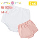 レディース ショーツ ズロース 綿100% 2枚組 M L LL 名前記入欄付 裾部分 ゴム 入り 女性 シニア 高齢者