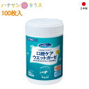 口腔用ウエットティッシュ 介護 介護用 口腔ケアウエットガーゼ 100枚入 ボトル 川本産業 日本製 ノンアルコール うるおい 介護 介護用 口腔ケア オーラルケア 歯みがきシート 口腔清掃 歯磨き はみがきティッシュシート(4)