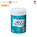 口腔用ウエットティッシュ 介護 介護用 口腔ケアウエットガーゼ 100枚入 ボトル 川本産業 日本製 ノンアルコール うるおい 介護 介護用 口腔ケア オーラルケア 歯みがきシート 口腔清掃 歯磨き はみがきティッシュシート