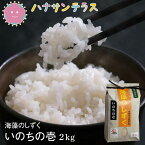 【新米】令和5年産 米 2kg いのちの壱 特別栽培米 白米 精米 龍の瞳 海藻 肥料 海藻のしずく 岐阜県産 少量 お試し ポイント消化 高食味 おいしいお米 送料無料