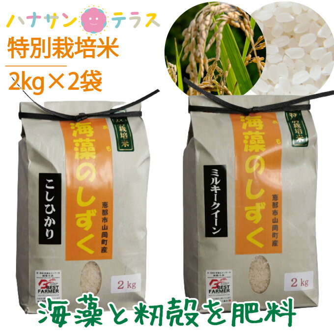 新米 令和3年産 米 2kg 2キロ × 2種類 4kg コシヒカリ ミルキークイー...