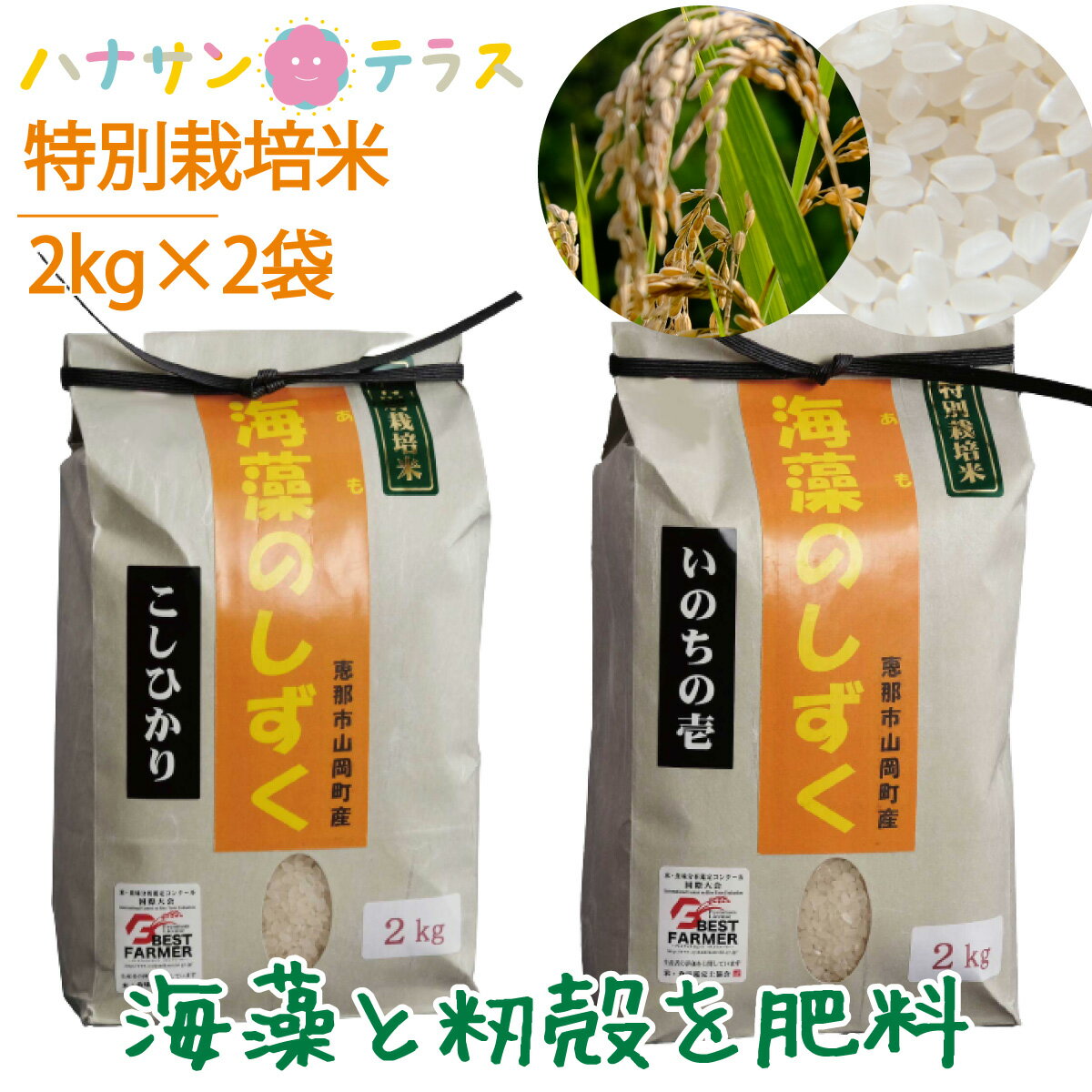 新米 令和3年産 米 2kg 2キロ × 2種類 4kg いのちの壱 コシヒカリ 白米 精米 龍の瞳 海藻 肥料 海藻のしずく 岐阜県産 少量 お試し 食べ比べ ポイント消化 高食味 おいしいお米 送料無料