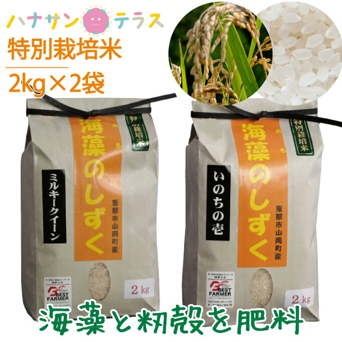 新米 令和3年産 米 2kg 2キロ × 2種類 4kg いのちの壱 ミルキークイー...