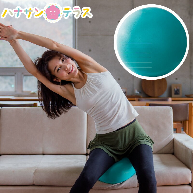 介護 予防 リハビリテーション スッキリコアボール 羽立工業 ハタチ ロコレッチ お腹 おしり くびれ 筋トレ 伸ばす エクササイズ ボール バランスボール フ...