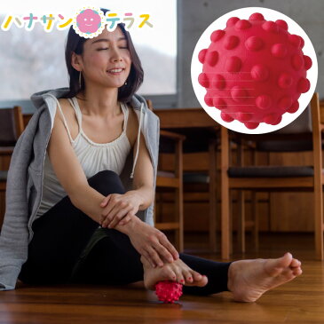 介護 予防 リハビリテーション スッキリボール 羽立工業 ハタチ ロコレッチ 足首 足裏 ふくらはぎ むくみ スッキリ フィットネス ボディケア トレーニング 美容 健康器具 介護予防 介護用品