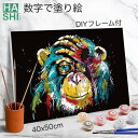 4月中だけ5%OFF 大人の塗り絵 絵画 数字油絵 アートパネル 動物 パズル絵 フレーム付 数字塗り絵 母の日 カラフル 猿 エイプ 50x40cm 油絵塗り絵 油絵セット アクリル絵具 塗り絵キット インテリア おしゃれ diy油絵 壁掛け 暇つぶし お洒落 ペイントバイナンバー デコ