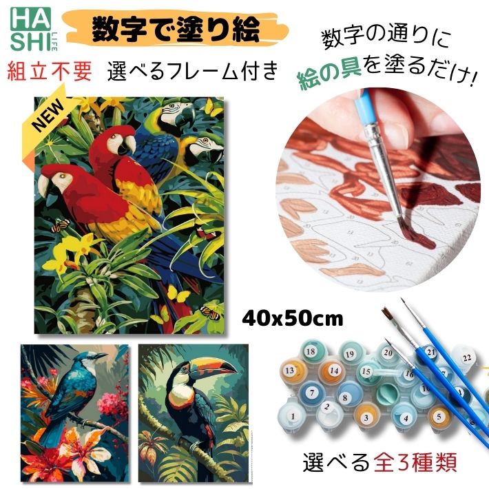 新作 大人の塗り絵 オススメ 絵画 鳥 数字油絵 油絵塗り絵 ギフト キャンバス 数字で塗り絵 青い鳥 オオハシ フレーム付 組立不要 ちちのひ パズル塗り絵 50x40cm アクリル絵具 塗り絵キット 油絵セット ナンバーペイント 可愛い アートパネル モダン 玄関 インテリア ぬりえ