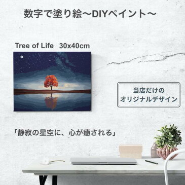 油絵塗り絵 大人気! 数字油絵 大人の塗り絵 油絵 塗り絵セット アクリル絵具 風景【数字で塗り絵 インナーフレーム付 折り目無し】30x40cm Tree of Life ギフト 数字絵 壁飾り 絵画 自然 海 木 星空 夜空 インテリア雑貨 おしゃれ キャンバス アートパネル