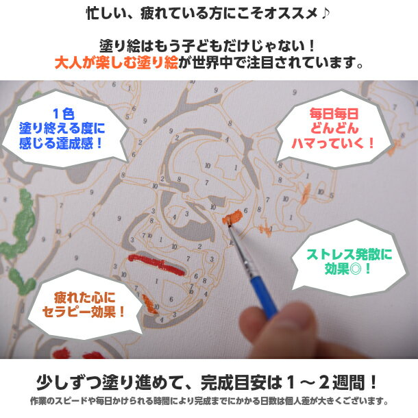 【楽天市場】数字油絵 大人の塗り絵 油絵 大人気！【数字で塗り絵 マリリンモンロー フレームの有無も選べる（フレーム付+900円