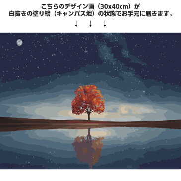 油絵塗り絵 大人気! 数字油絵 大人の塗り絵 油絵 塗り絵セット アクリル絵具 風景【数字で塗り絵 インナーフレーム付 折り目無し】30x40cm Tree of Life ギフト 数字絵 壁飾り 絵画 自然 海 木 星空 夜空 インテリア雑貨 おしゃれ キャンバス アートパネル