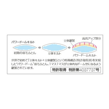 フランスベッド ポーランド産ホワイトグースダウン95％ 羽毛布団 AS N システマックス プラチナEW95 クイーン 220×210cm