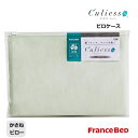 日本製 フランスベッド キュリエス エージー ピロケース 除菌 50×70cm用 かさねピロー(3)