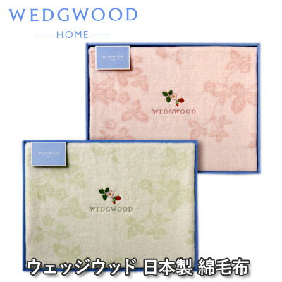 imgrc0080093367.jpg imgrc0080093367.jpg