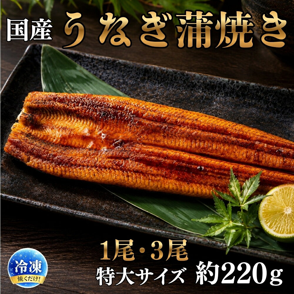 【うなぎ蒲焼】 鹿児島県産 冷凍 国産 ふっくら美味しい 簡単調理 土用 丑の日 おかず うな丼 うな重 う巻き うなぎ 晩御飯 贈答用 贈り物 ギフト 父の日 出産祝い