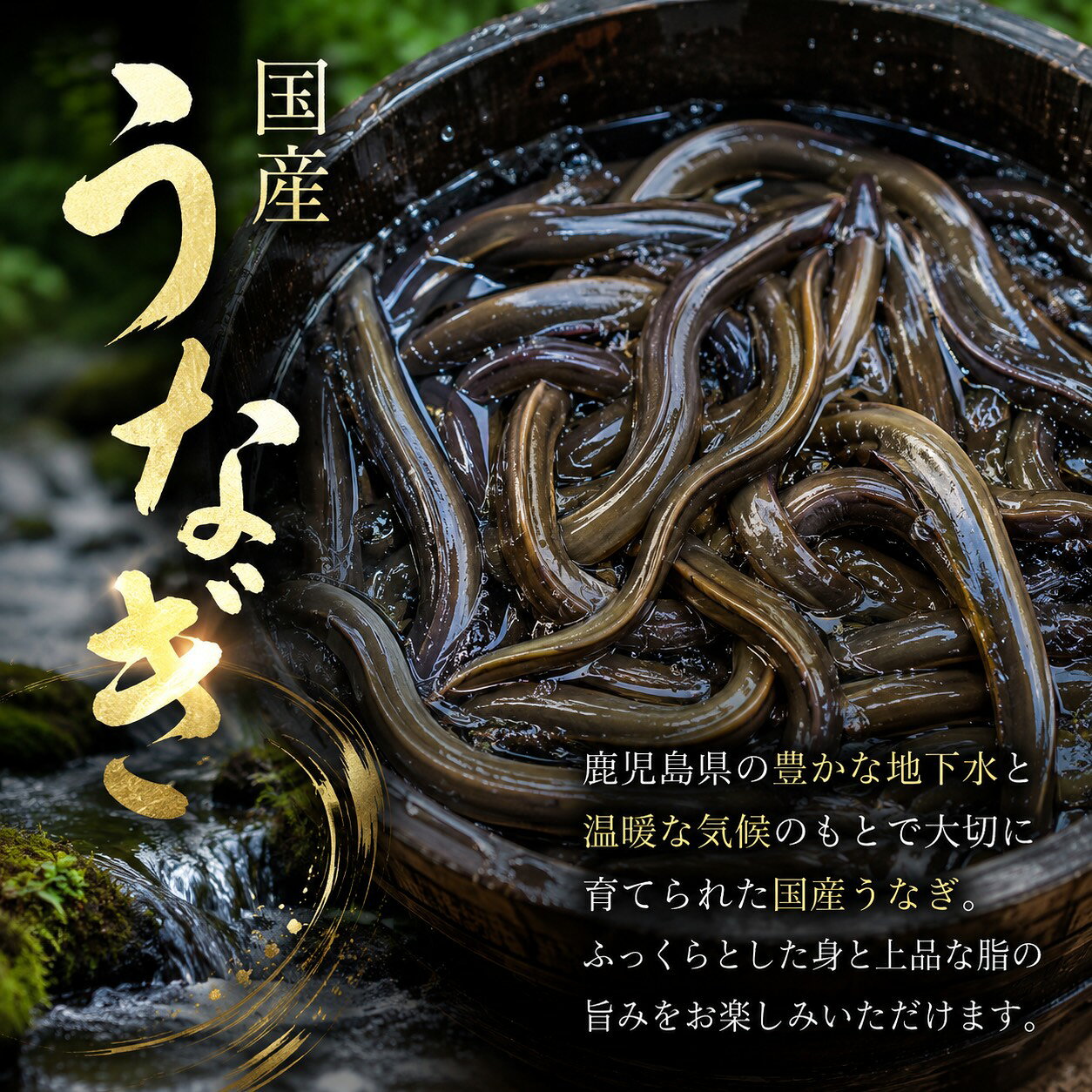 【うなぎ蒲焼】 鹿児島県産 冷凍 国産 ふっくら美味しい 簡単調理 土用 丑の日 おかず うな丼 うな重 う巻き うなぎ 晩御飯 贈答用 贈り物 ギフト 父の日 出産祝い