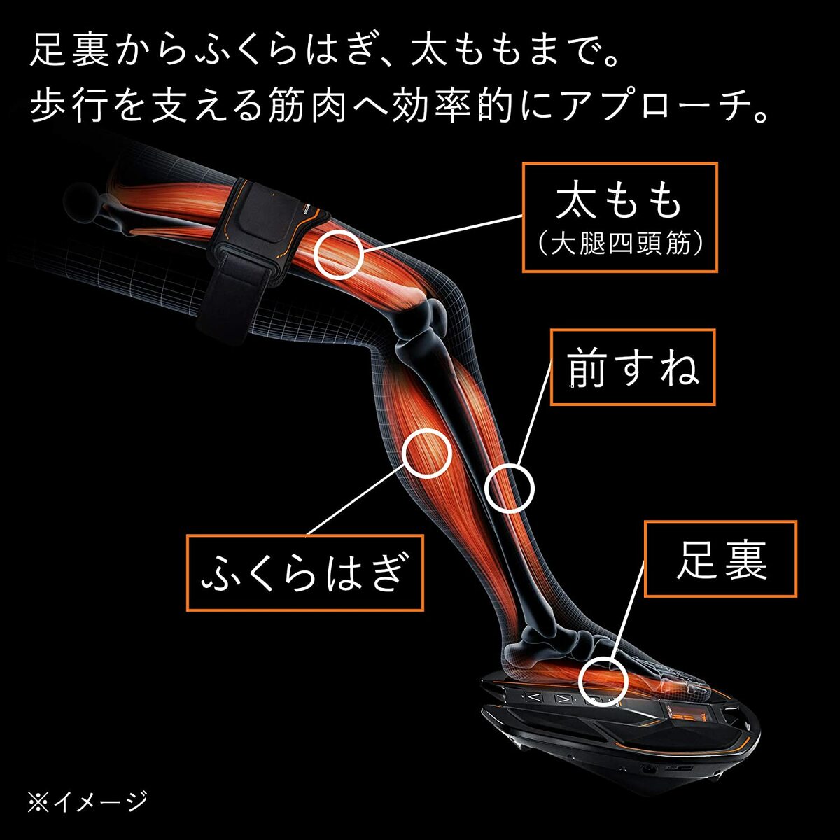シックスパッド フットフィットプラス (SIXPAD Foot Fit Plus) MTG【メーカー純正品 SE-AG00
