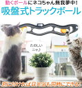 猫用ピンポン付き 猫吸盤窓 おもちゃ インタラクション ペット 屋内おもちゃ 狩猟ボールおもちゃ 猫エンターテイメント おもちゃ吸盤ト ラックボール おもちゃ猫...