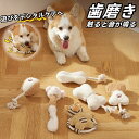 歯磨き オーラルケア 猫 玩具 おもちゃ 歯磨きおもちゃ 触ると音が鳴る 噛むおもちゃ 猫 おもちゃ 歯磨き 猫ロープおもちゃ 運動不足とストレス解消 猫遊び ...