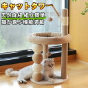 キャットタワー ミニ 猫タワー 爪研ぎ 低い 小型 天然麻紐 耐久 組立簡単 支柱 ミニ 猫タワー 昼寝タワー 低い 遊び場 おもちゃ かわいい おしゃれ スト...