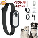 ペット用 超小型カメラ 隠しカメラ スパイカメラ 自動暗視 赤外線夜間録画長時間 1080P画質 モーションのみ 動体検知 ループ録画 防犯監視カメラ ビデオカメラ 屋内/玄関/屋外 操作簡単