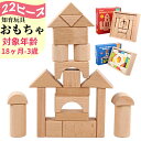 積み木 おもちゃ 22ピース 30ピース 対象年齢 18ヶ月 1歳半 2歳 3歳 木製 モンテッソーリ 赤ちゃん 知育 無塗装 木製玩具 カラー 女の子 男の子...