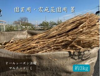 園芸用 藁 3kg以上 ハーフカット藁野菜栽培 家庭菜園 畑 ガーデニング マルチング保温効果 防寒対策 雑草の成長抑制-防草 泥跳ね防止 肥料 堆肥 敷藁 稲わら わら陶芸（緋襷） 敷き藁 カット藁 ワラ送料無料のサムネイル