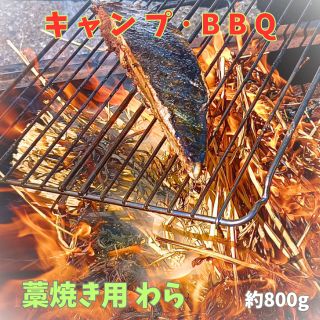 藁焼き用 藁 カット藁約800g アウトドア キャンプBBQ イベント お花見 飲食店レジャー 多人数用 家庭用ワラ焼き わら焼き キャンプ用品初鰹 戻り鰹藁焼き カマンベールチーズ藁焼き地鶏藁焼き …