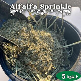 飼料用アルファルファふりかけ 5kg以上 スコップ付ヤギ ヒツジ ロバ 養鶏のエサ 家畜 飼料 業務用 鶏 ..