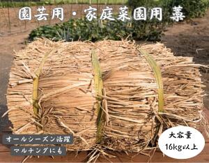 【最安値挑戦 !】 園芸用 藁 16kg以上 ハーフカット藁 敷きわら 農業 畑 造園家庭菜園 野菜栽培 ガーデニング マルチング 保温 防寒 植物 カボチャ 農業資材 越冬 冬越し 雑草対策 肥料 敷藁 いちご栽培 マルチシート 防草 敷き藁 稲わら カット藁 わら ワラ 送料無料