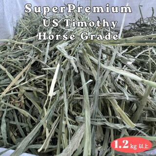 ＜商品概要＞ 原材料：飼料用乾燥圧縮牧草 種類：チモシー グレード：スーパープレミアムホースグレード 用途：飼料用、単味飼料 原産国：アメリカ（ワシントン州） 内容量：1.2kg以上 包装形態：圧縮されたチモシーをほぐして選別後、茶色のPE袋に入れて出荷します。 ・収納袋　長さ 104x 横幅 66.5（単位:cm）材質 PE（ポリエチレン） ☆お届けするサイズ：100 ＜注意事項等＞ ・PE袋から牧草を取り出す際は、ケガをしないよう必ず手袋の着用を、お願いします。 ・牧草の梱包時に目視確認をしておりますが、牧草以外の混入物（雑草や虫の死骸）が 入ってる場合がありますので、ペットに与える前に必ず混入物のご確認をお願い致します。 ・時期、環境等によっては品質が多少異なりますがご了承下さい。 ・保存方法：湿気の少ない風通しのよい場所に保管してください。 ※画像よりも色が茶色の場合がございますが、品質・栄養価に変りはありません。 予めご了承の程宜しくお願いします。