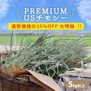 プレミアムUSチモシー うさぎ チモシー 1番刈り 5kg 5キロ ダブルプレス 5kg以上飼料用 モルモット ハ..