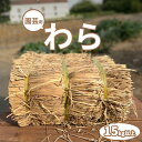 【最安値挑戦 !】 園芸用 藁 15kg以上 ハーフカット藁 敷きわら 農業 畑 造園家庭菜園 野菜栽培 ガーデニング マルチング 保温 防寒 植物 カボチャ 農業資材 越冬 冬越し 雑草対策 肥料 敷藁 いちご栽培 マルチシート 防草 敷き藁 稲わら カット藁 わら ワラ 送料無料