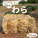【最安値挑戦 !】 園芸用 藁 14kg以上 ハーフカット藁 敷きわら 農業 畑 造園家庭菜園 野菜栽培 ガーデニング マルチング 保温 防寒 植物 カボチャ 農業資材 越冬 冬越し 雑草対策 肥料 敷藁 いちご栽培 マルチシート 防草 敷き藁 稲わら カット藁 わら ワラ 送料無料
