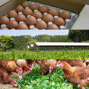 【若鶏卵】蓮ヶ峯農場の平飼いたまごSS〜Sサイズの50個入り　オーガニック　有機　平飼い卵　自家配合　非遺伝子組み換え飼料　京都