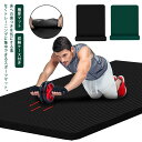 ヨガマット 在宅トレーニング 痛くない 20MM 高密度 ピラティス フィットネス HIIT 筋トレ 女性 男性 大判 極厚マット 滑り止め 防水性 弾力性 収...