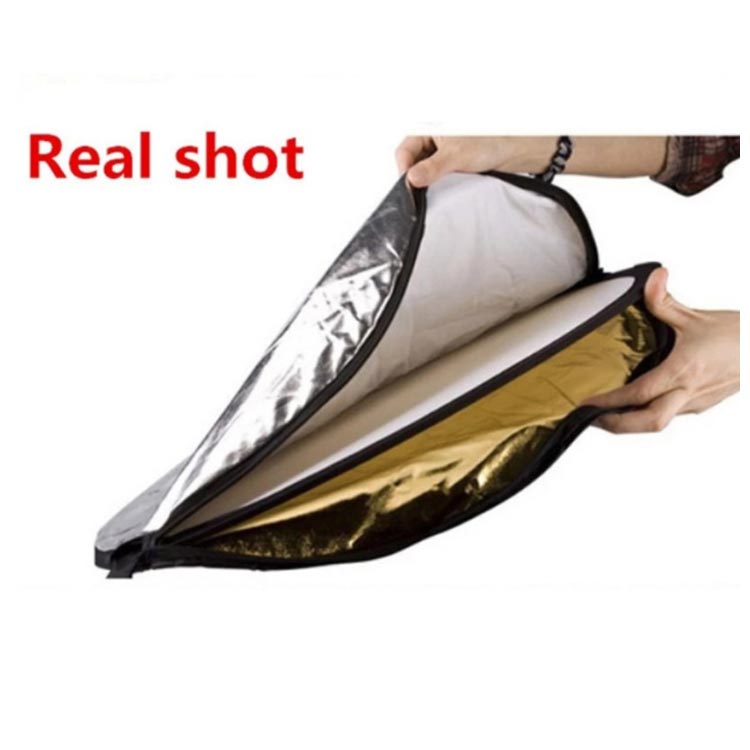 �ޤꤿ���� ����� 5-in-1 �׸��� ��ե쥯�����ܡ��� ������ ������ �� �� �� �� ȾƩ�� ���ʻ��� ��ʪ���� ���⻣�� �������� ��ե쥯���� ����ѥ��� ��Ǽ�Хå��դ� �������� ����̵��