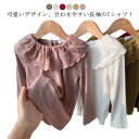 綿 可愛い Tシャツ カットソー 丸襟 長袖 ベビー レース襟 子供服 ロングtシャツ 春秋冬 インナー ガールズ トップス 女の子 肌着 可愛い 女児 無地 上着 部屋着 90 100 110 120 130 140