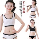 ブラジャー キッズ ジュニアブラ 中学生 ブラ ブラジャー ショーツ ブラジャー キッズ用 アンダーウェア ファーストブラ ノンワイヤー スタンダード インナー...